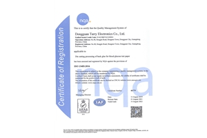 ISO13485 2016體系認證（英）